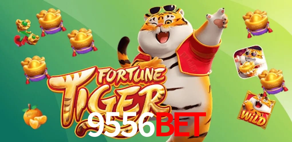 Experiência VIP 9556bet